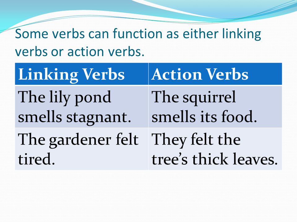 Some verbs can function as either linking verbs or action verbs.