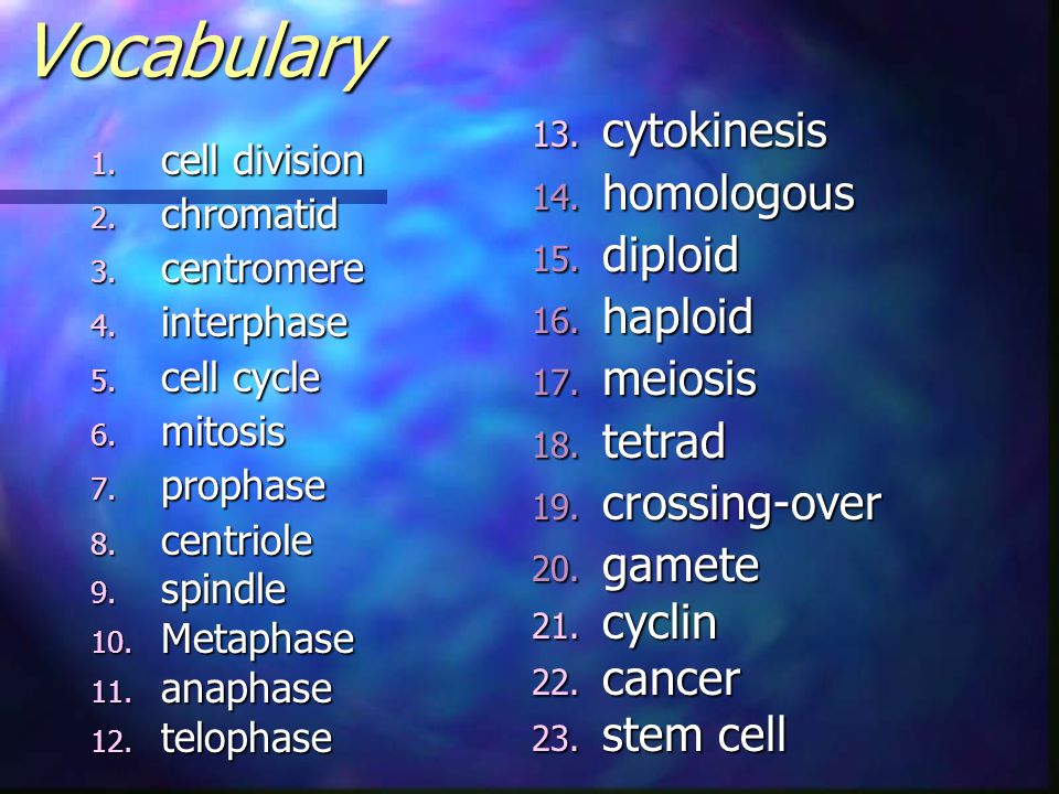 10 2 The Process Of Cell Division Worksheet Answers Photo Al 10 2 The Process Of Cell Division Worksheet Answers Templates