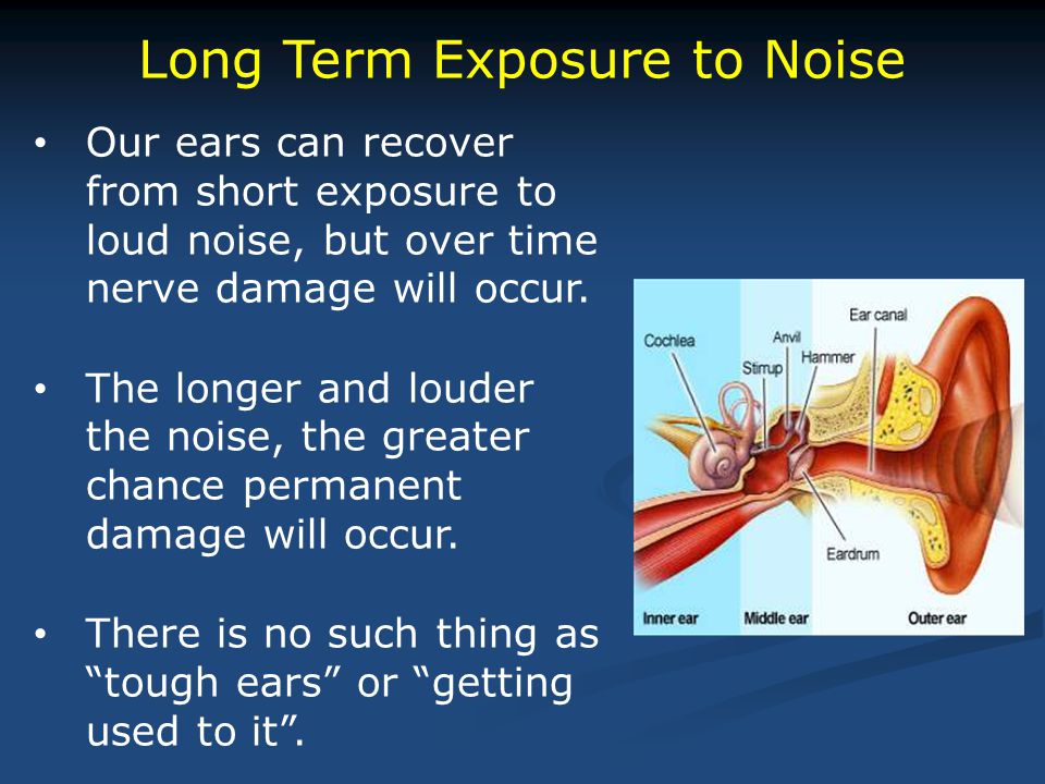 Long Term Exposure to Noise Our ears can recover from short exposure to loud noise, but over time nerve damage will occur.