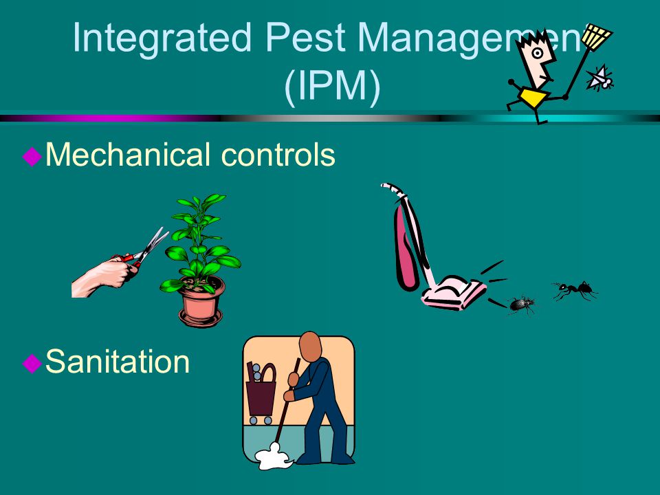 Integrated Pest Management (IPM) u Mechanical controls u Sanitation