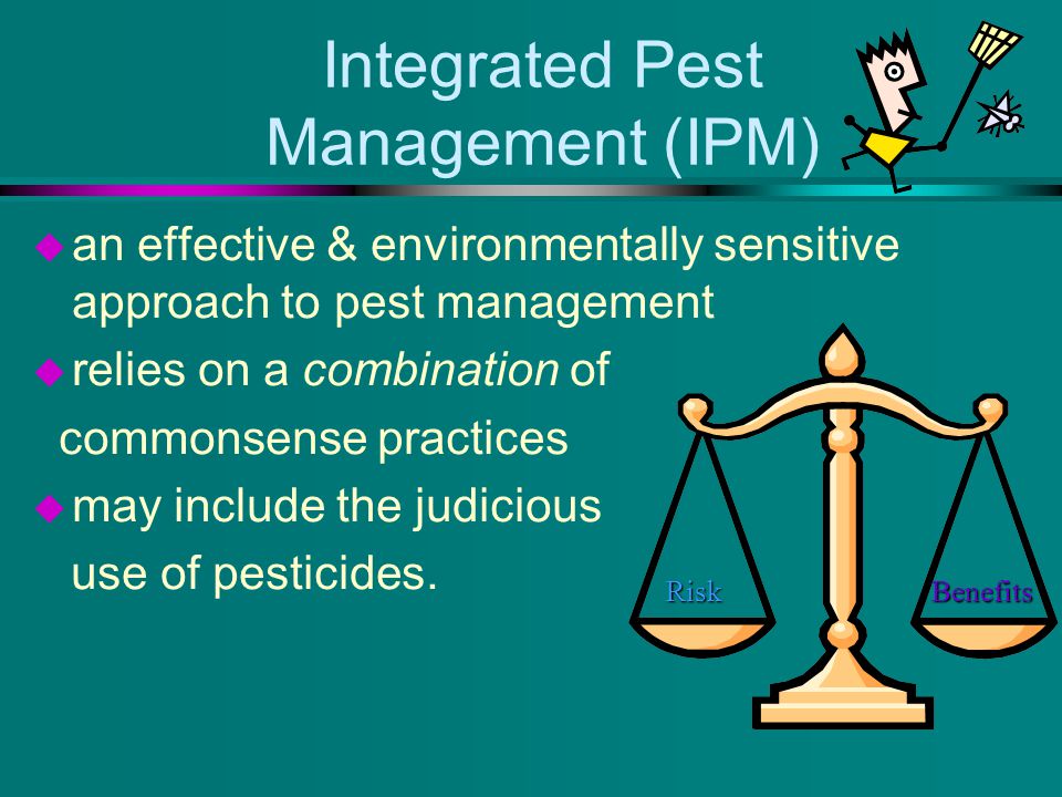 Integrated Pest Management (IPM) u an effective & environmentally sensitive approach to pest management u relies on a combination of commonsense practices u may include the judicious use of pesticides.