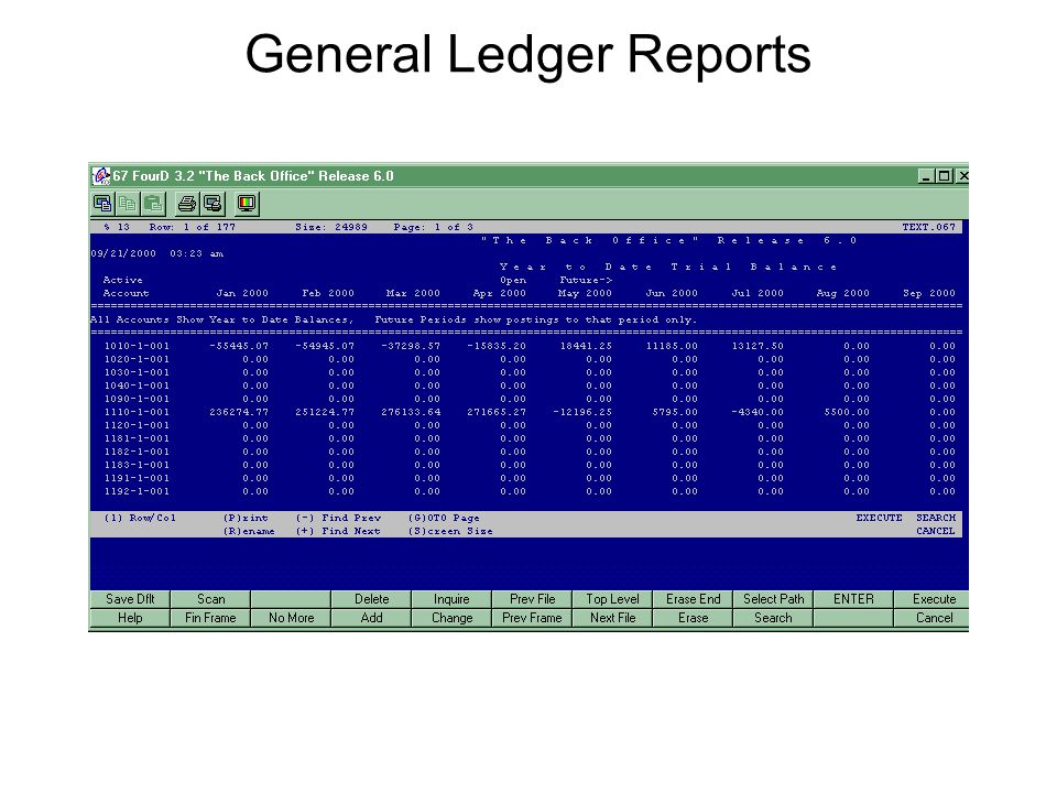 General Ledger Reports