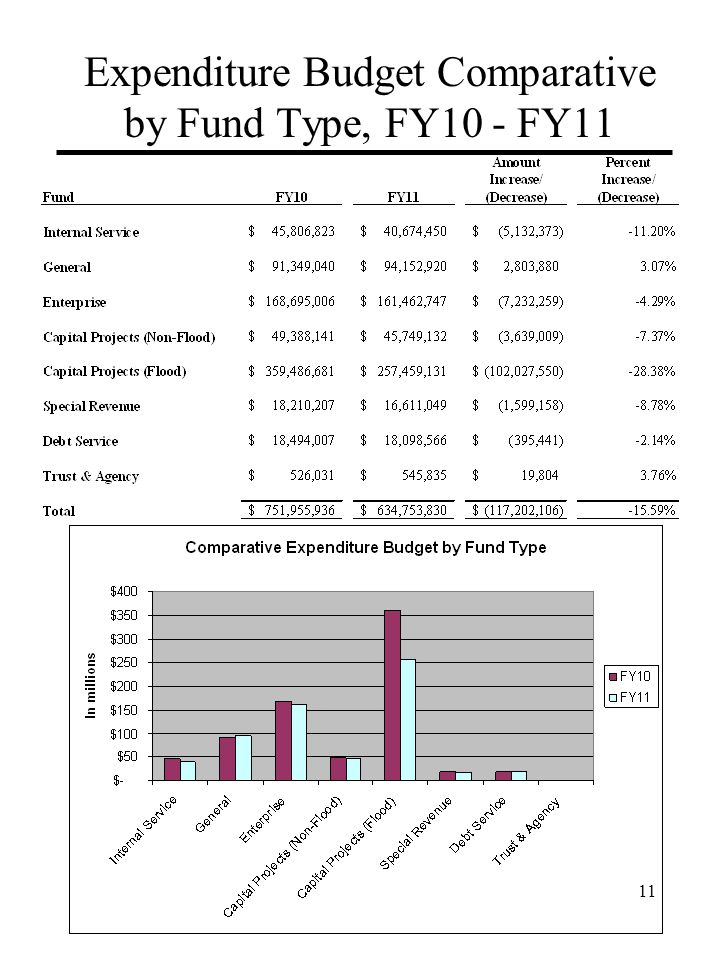 Expenditure Budget Comparative by Fund Type, FY10 - FY11 11