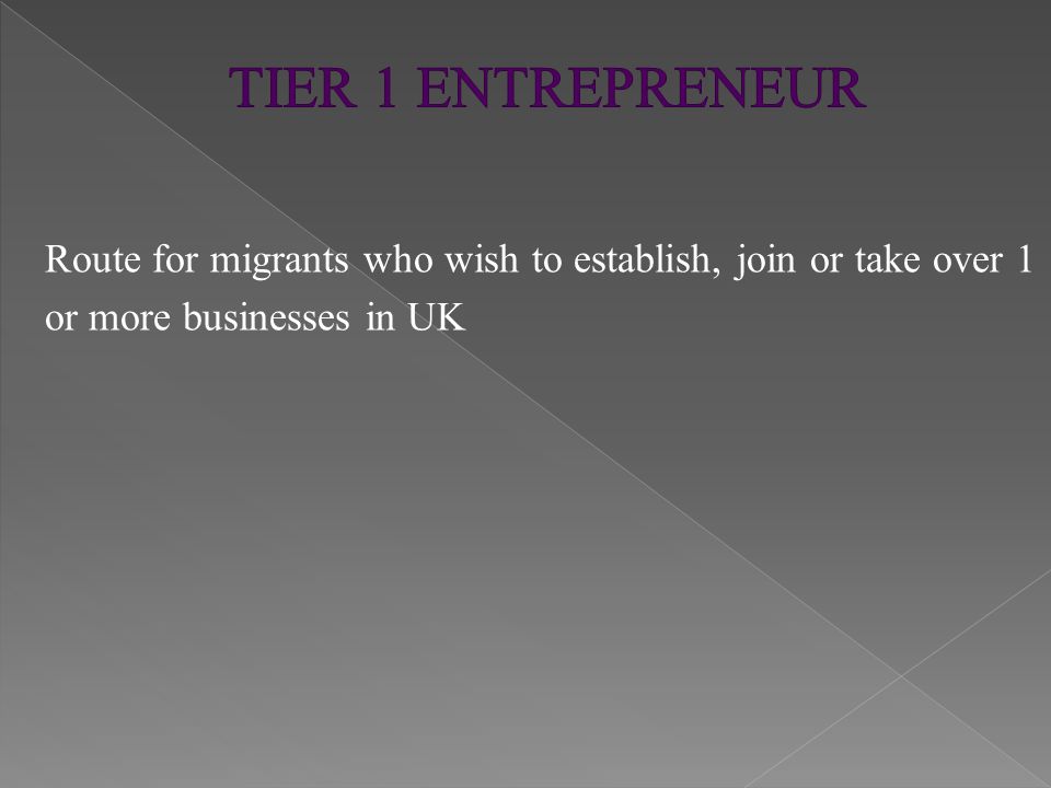 Route for migrants who wish to establish, join or take over 1 or more businesses in UK