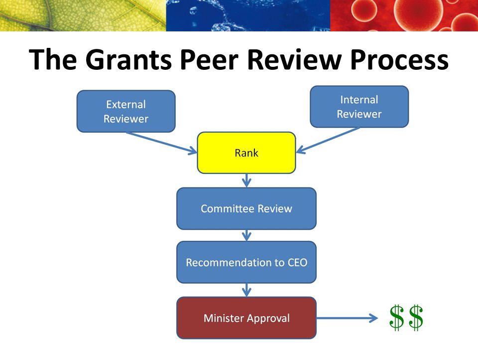 The Grants Peer Review Process