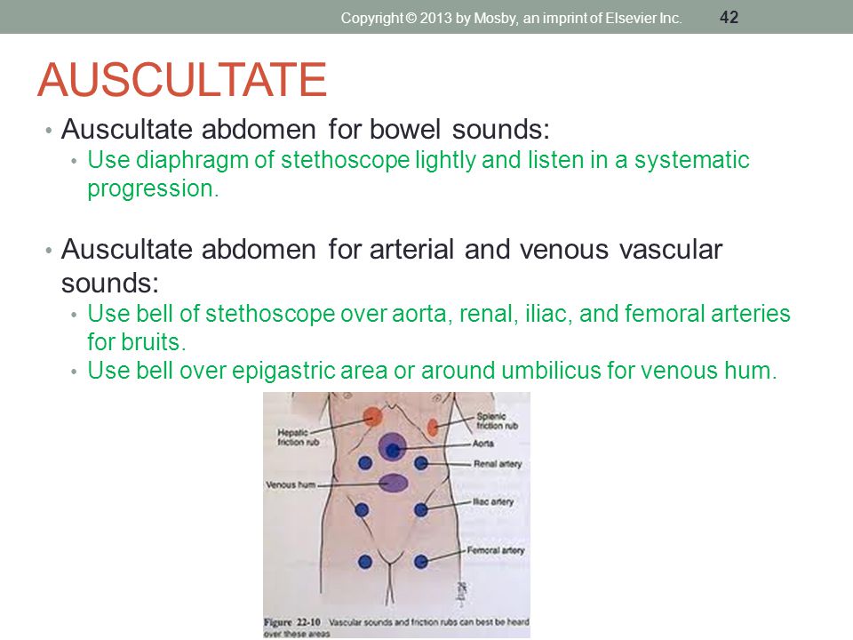 Bowel Sound Learning Module System