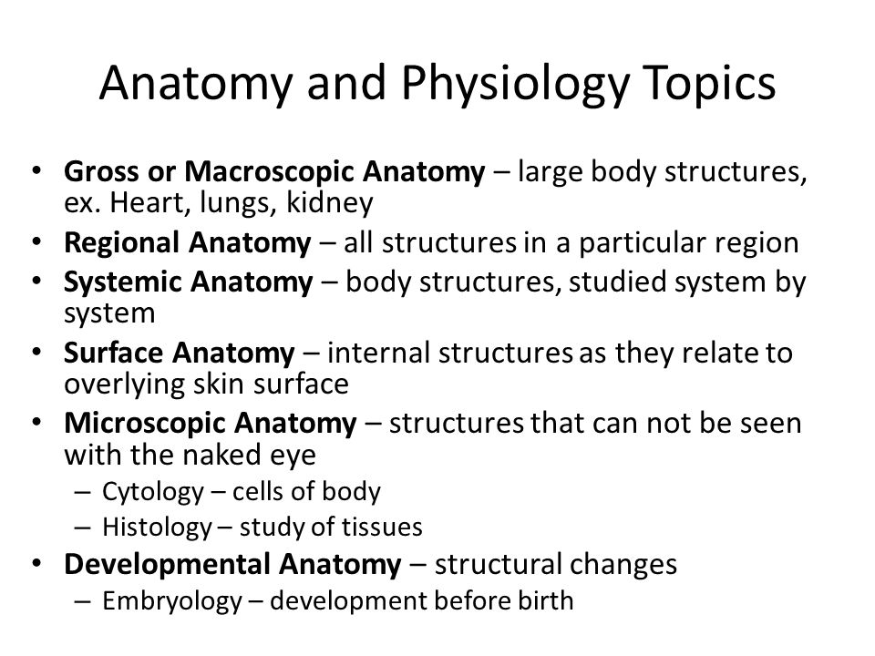 Modest Proposal Essay Guponarsdaleddns Free Essays And Papers How To Write A Thesis Essay also Essay Writing Examples English Writing Help Library Genesee Community College Anatomy Essays Argument Essay Sample Papers
