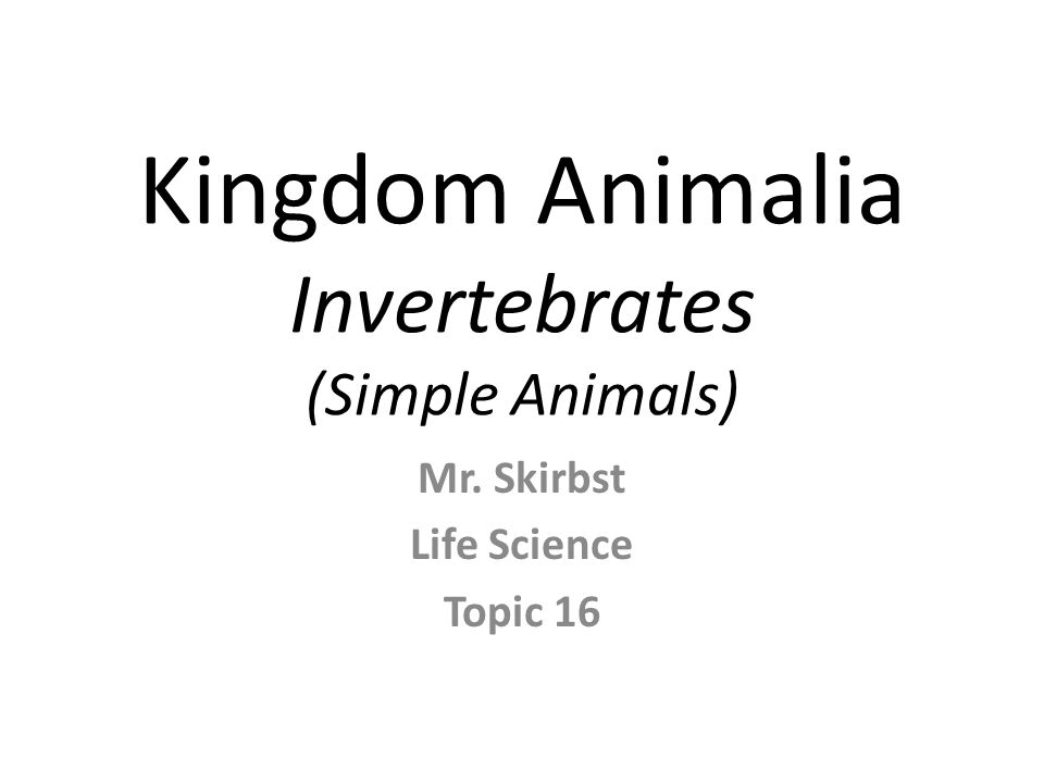 Kingdom Animalia Invertebrates (Simple Animals) Mr. Skirbst Life Science Topic 16