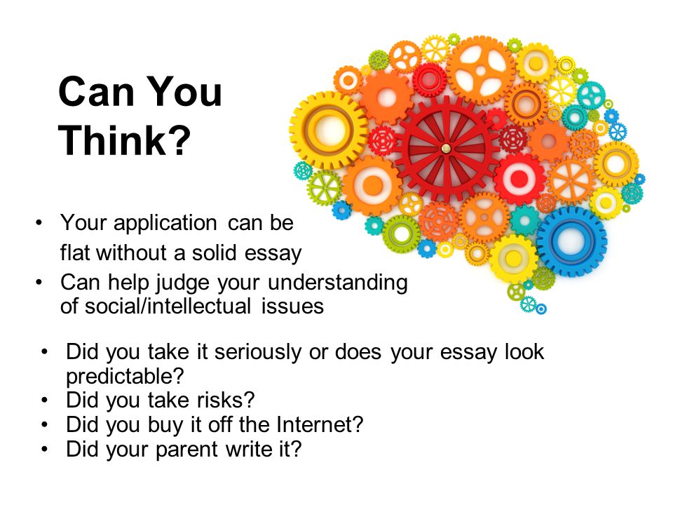 princeton supplement essays 2012 Read the top 147 college essays that worked at princeton and more learn more princeton short answers studynotesorg study notes, llc, 26 jun 2016. princeton supplement essays 2012 Read the top 147 college essays that worked at princeton and more learn more princeton short answers studynotesorg study notes, llc, 26 jun 2016.