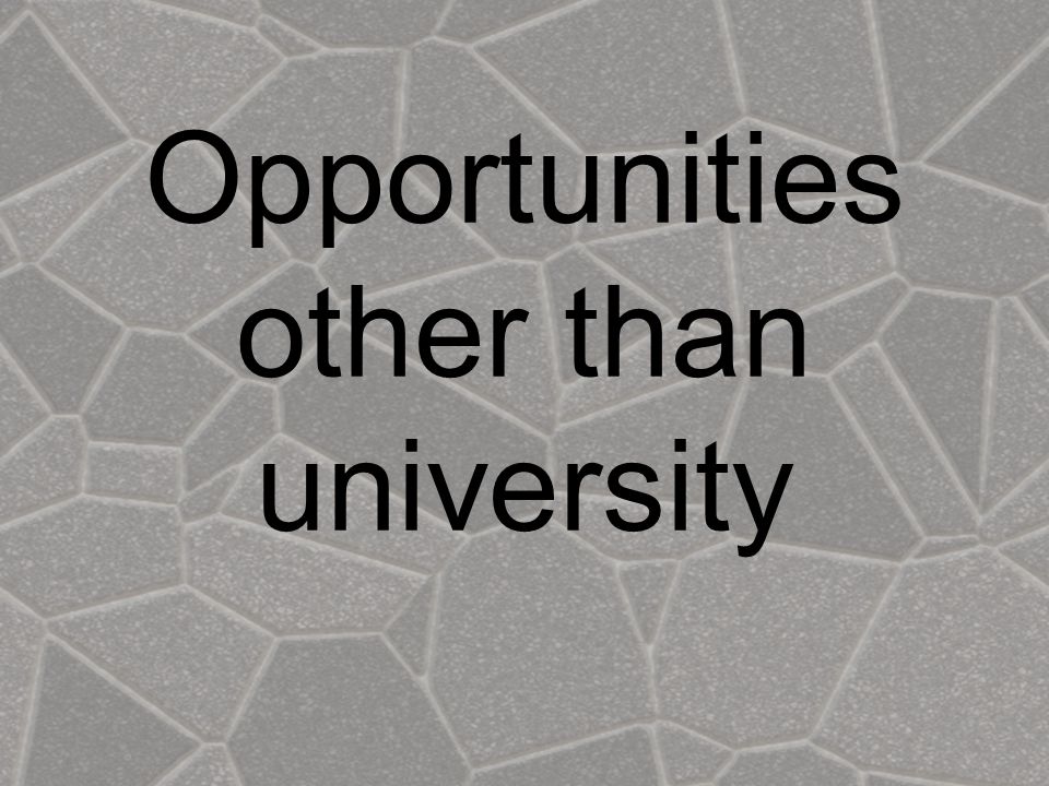 Opportunities other than university