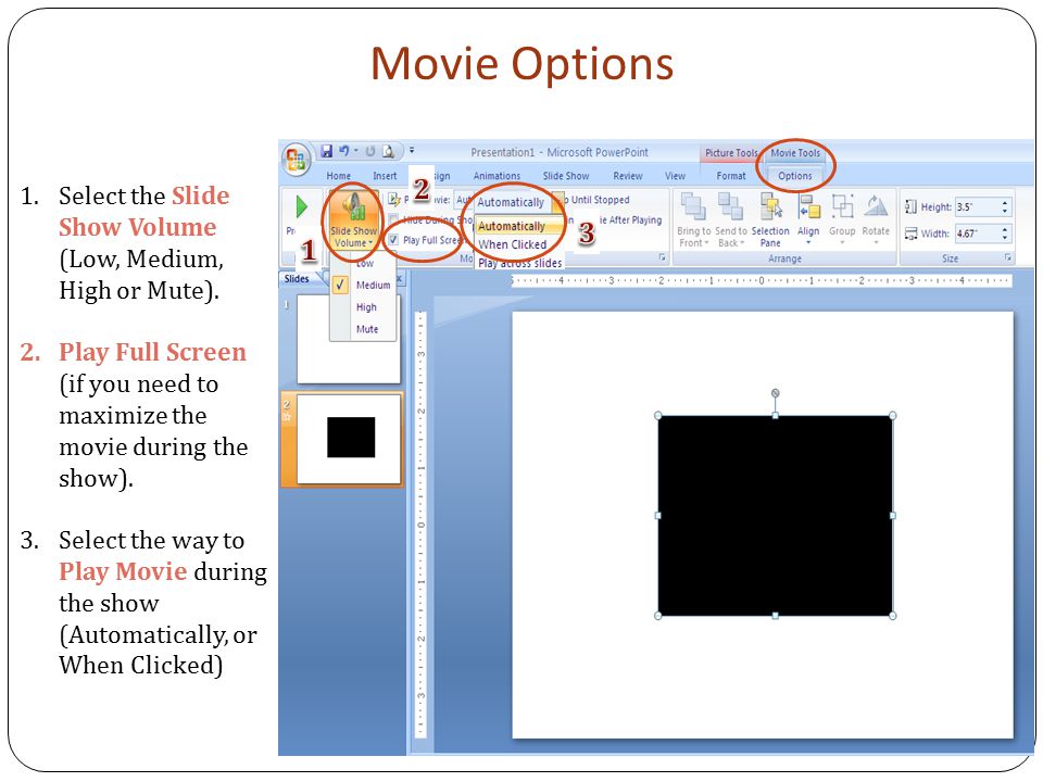 Movie Options 1.Select the Slide Show Volume (Low, Medium, High or Mute).