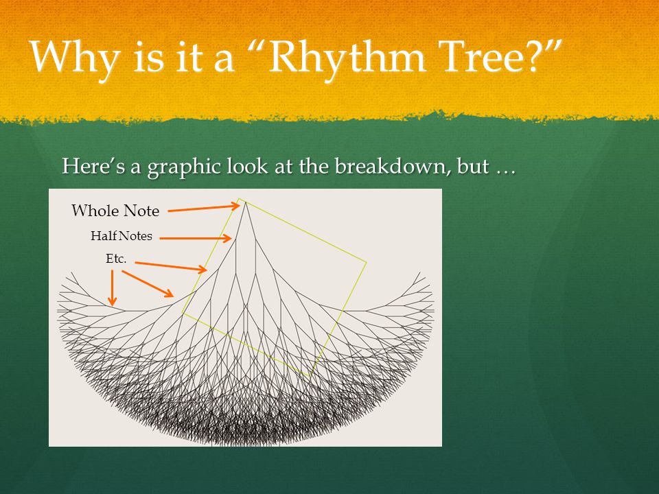Why is it a Rhythm Tree Here’s a graphic look at the breakdown, but … Whole Note Half Notes Etc.
