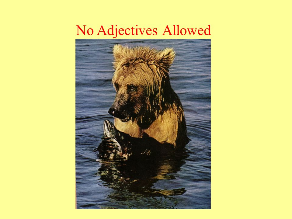No Adjectives Allowed