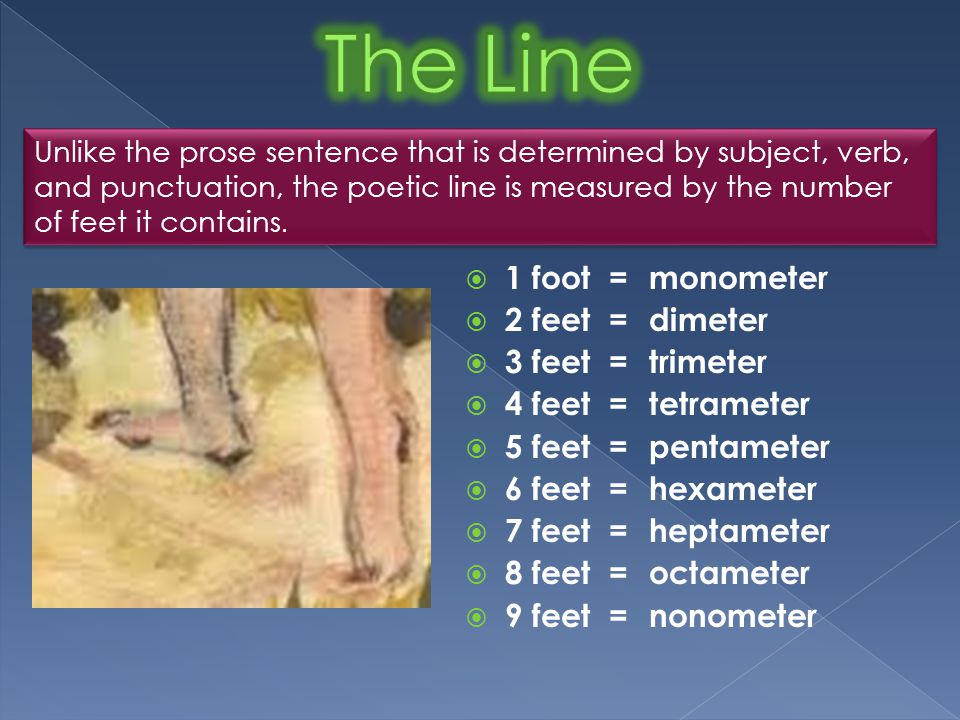  1 foot  2 feet  3 feet  4 feet  5 feet  6 feet  7 feet  8 feet  9 feet = monometer =dimeter =trimeter =tetrameter =pentameter =hexameter =heptameter =octameter =nonometer Unlike the prose sentence that is determined by subject, verb, and punctuation, the poetic line is measured by the number of feet it contains.