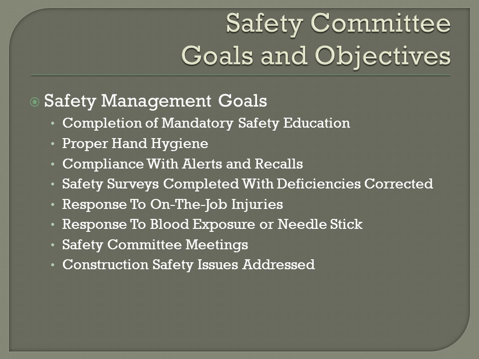  Safety Management Goals Completion of Mandatory Safety Education Proper Hand Hygiene Compliance With Alerts and Recalls Safety Surveys Completed With Deficiencies Corrected Response To On-The-Job Injuries Response To Blood Exposure or Needle Stick Safety Committee Meetings Construction Safety Issues Addressed