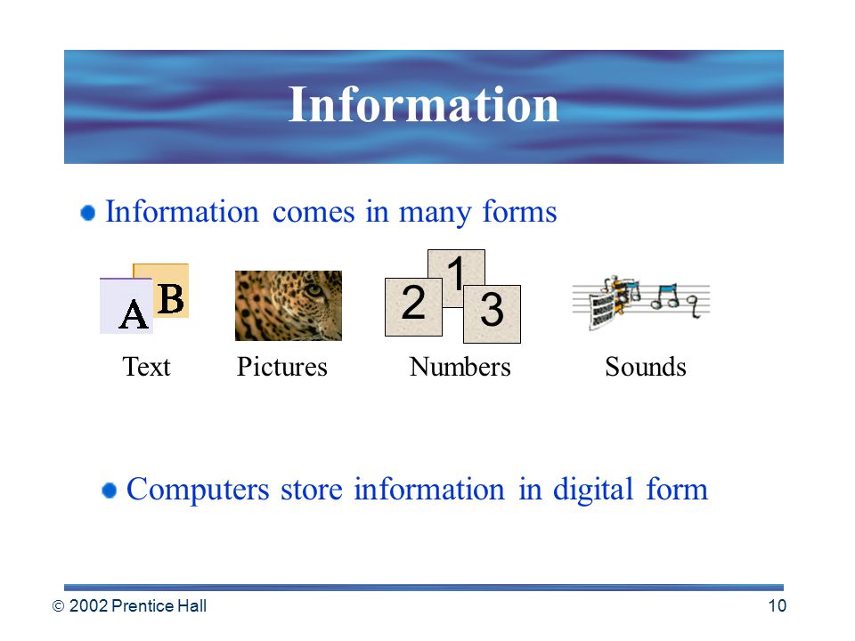  2002 Prentice Hall 9 Store Information Memory and storage devices are used to store information Primary storage is the computer’s main memory Secondary storage uses disks or other media