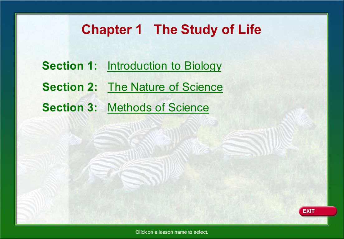 Worksheets The Nature Of Science Worksheet Answers the nature of science worksheet answers section 2 intrepidpath chapter 1 answers