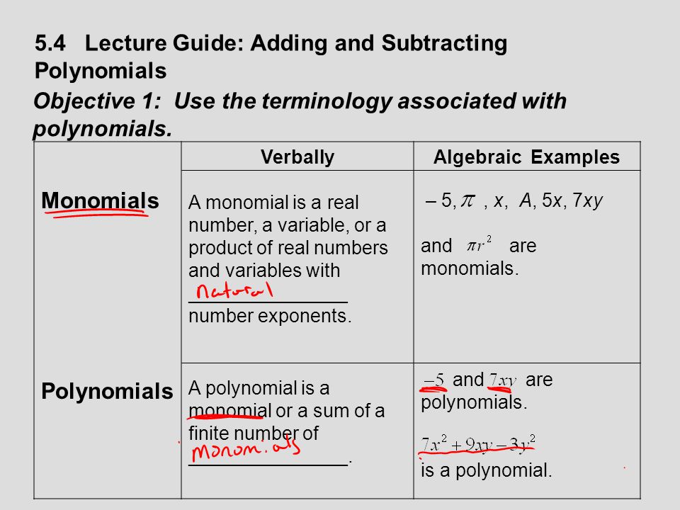 Adding Monomials Worksheet Rringband Worksheet 564729 Adding And Subtracting Polynomials Worksheets