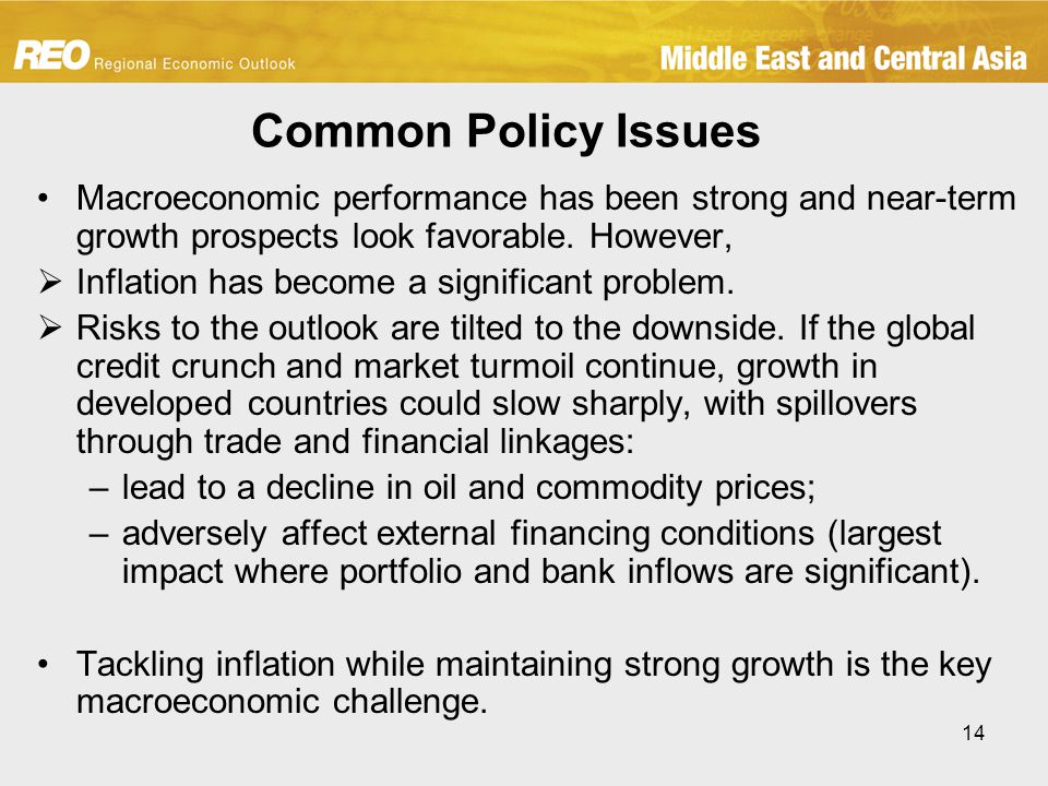 14 Common Policy Issues Macroeconomic performance has been strong and near-term growth prospects look favorable.