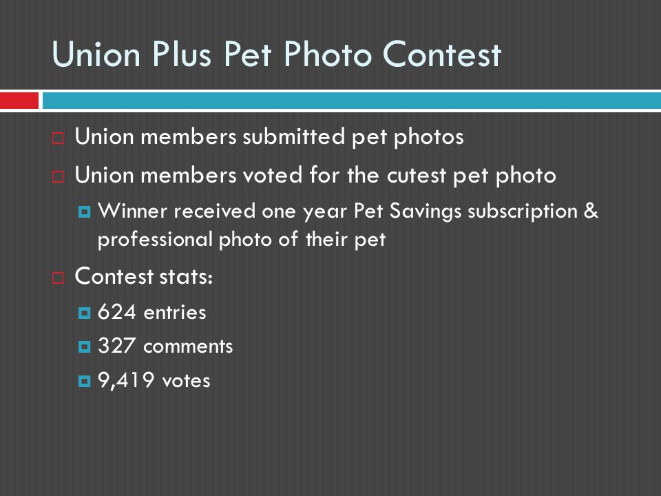 Union Plus Pet Photo Contest  Union members submitted pet photos  Union members voted for the cutest pet photo  Winner received one year Pet Savings subscription & professional photo of their pet  Contest stats:  624 entries  327 comments  9,419 votes