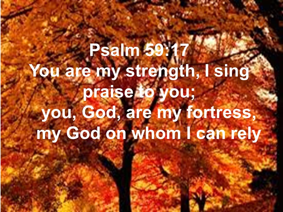 Psalm 59:17 You are my strength, I sing praise to you; you, God, are my fortress, my God on whom I can rely
