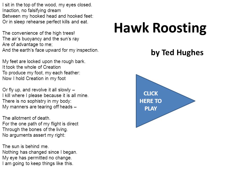 ted hughes birthday letters conflicting perspectives essay ted hughes birthday letters conflicting perspectives essay