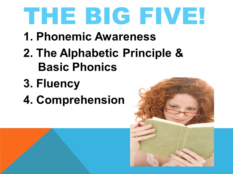 THE BIG FIVE. 1. Phonemic Awareness 2. The Alphabetic Principle & Basic Phonics 3.