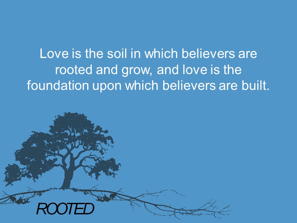 Love is the soil in which believers are rooted and grow, and love is the foundation upon which believers are built.