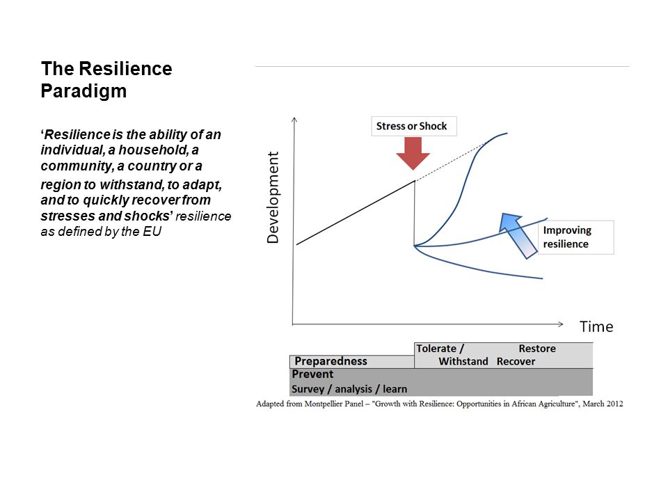 The Resilience Paradigm ‘Resilience is the ability of an individual, a household, a community, a country or a region to withstand, to adapt, and to quickly recover from stresses and shocks’ resilience as defined by the EU