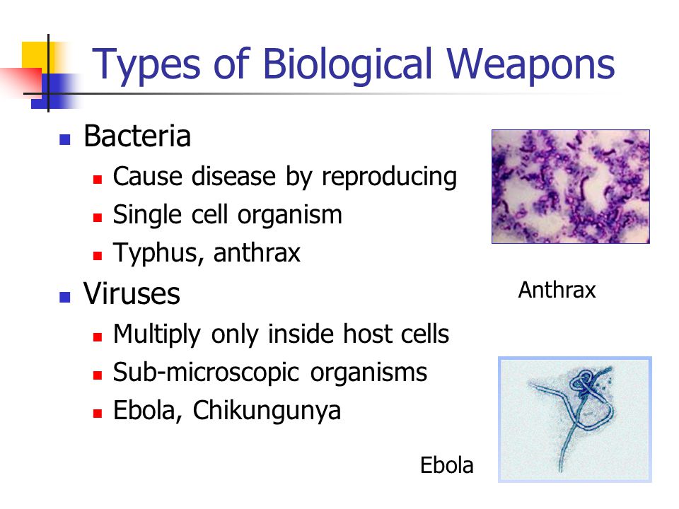 Types of Biological Weapons Bacteria Cause disease by reproducing Single cell organism Typhus, anthrax Viruses Multiply only inside host cells Sub-microscopic organisms Ebola, Chikungunya Ebola Anthrax