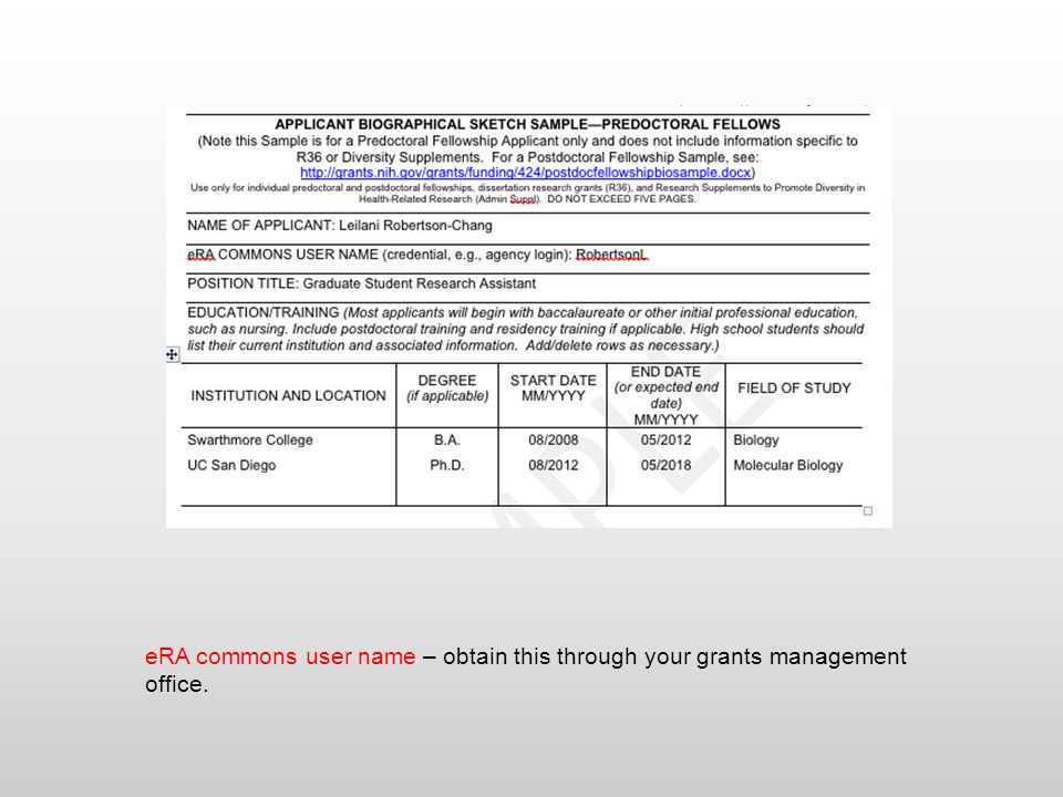 Help writing pupil reports photo 1