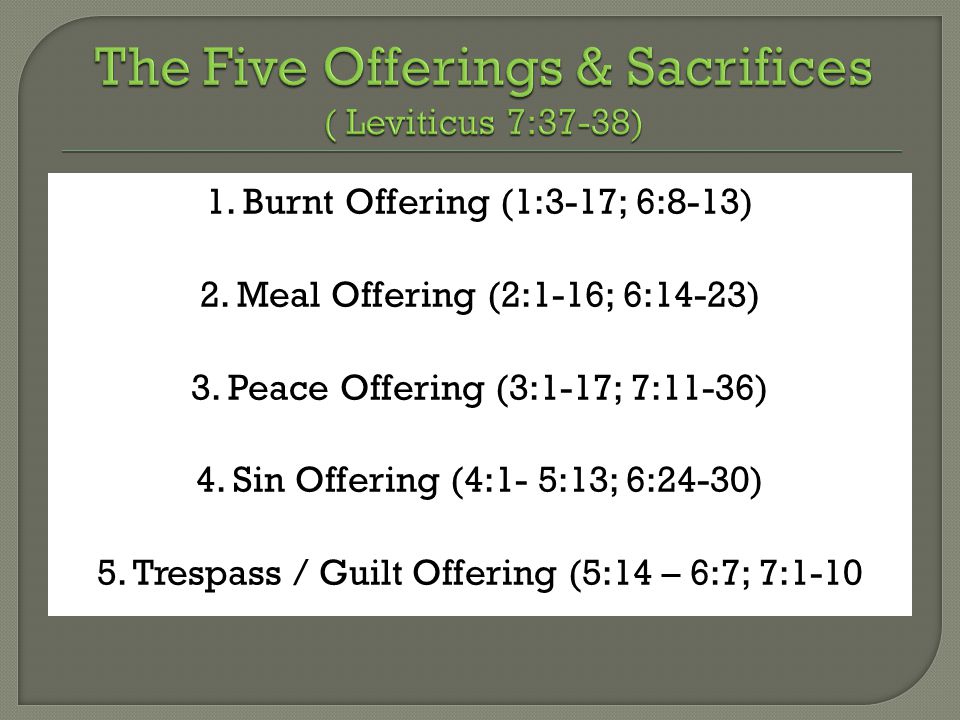 1. Burnt Offering (1:3-17; 6:8-13) 2. Meal Offering (2:1-16; 6:14-23) 3.