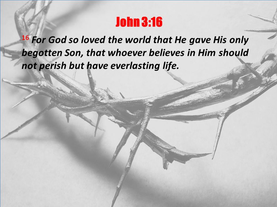 John 3:16 16 For God so loved the world that He gave His only begotten Son, that whoever believes in Him should not perish but have everlasting life.