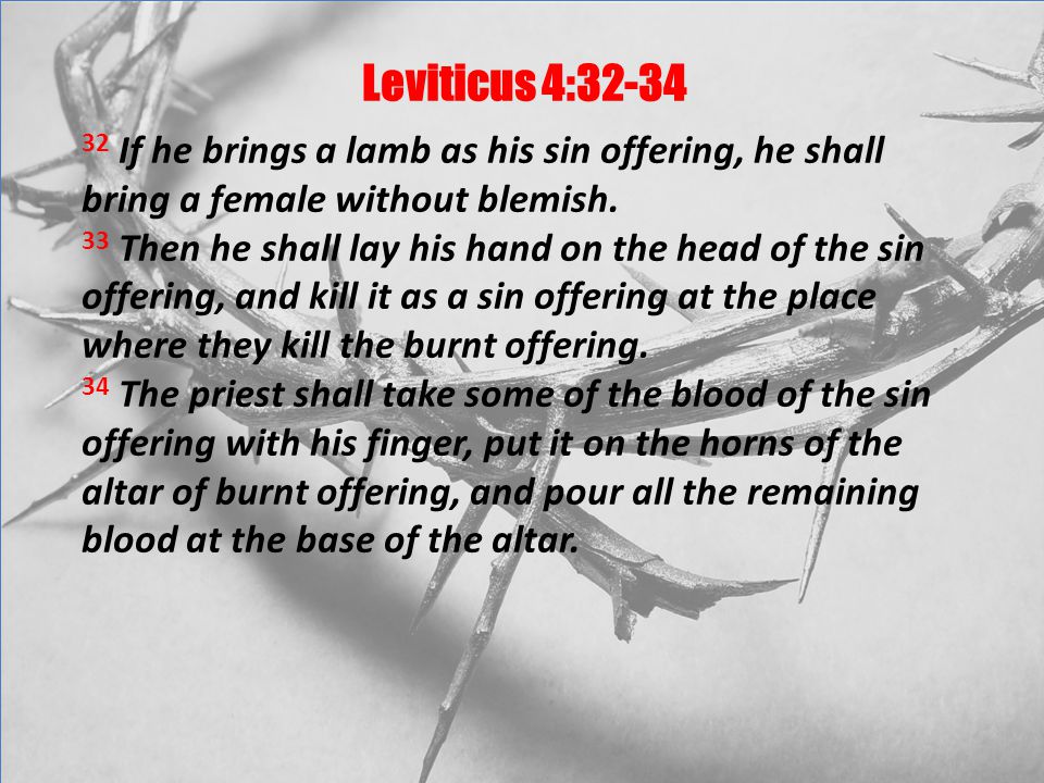 Leviticus 4: If he brings a lamb as his sin offering, he shall bring a female without blemish.
