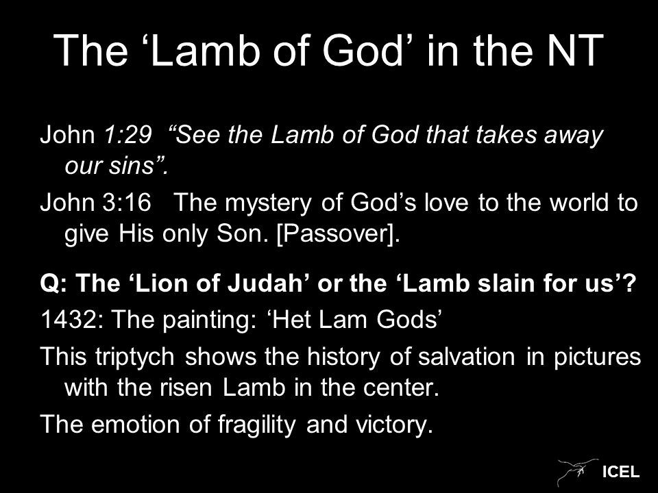 ICEL The ‘Lamb of God’ in the NT John 1:29 See the Lamb of God that takes away our sins .