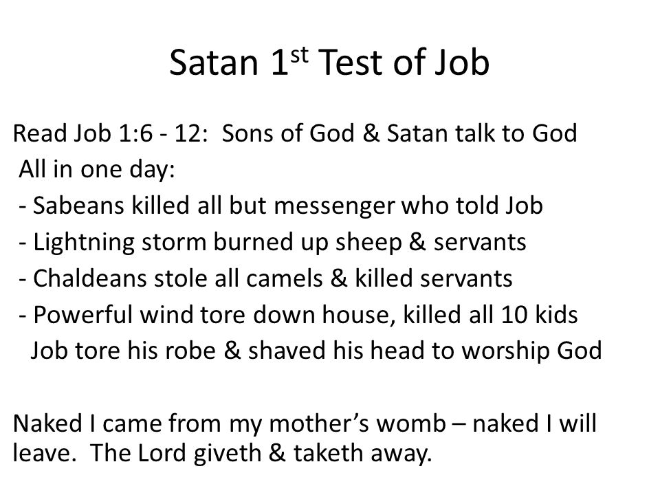 who are the sabeans in the book of job