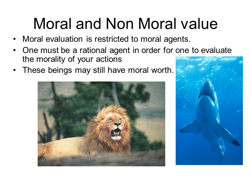 Is moral value innate, or just non-accidental?