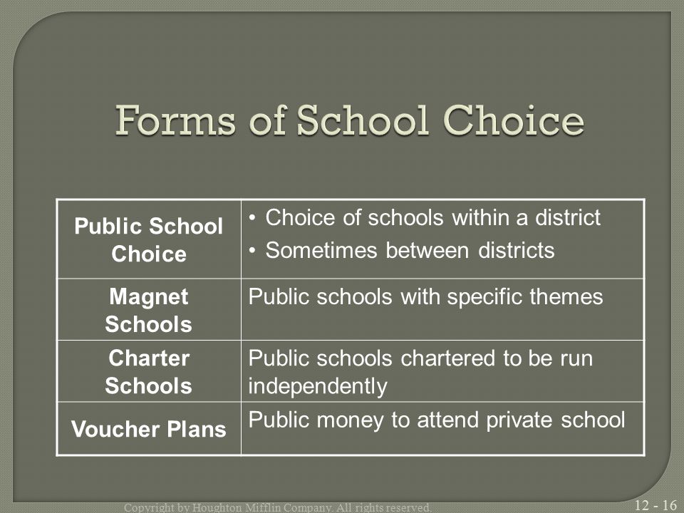 Public School Choice Choice of schools within a district Sometimes between districts Magnet Schools Public schools with specific themes Charter Schools Public schools chartered to be run independently Voucher Plans Public money to attend private school Copyright by Houghton Mifflin Company.