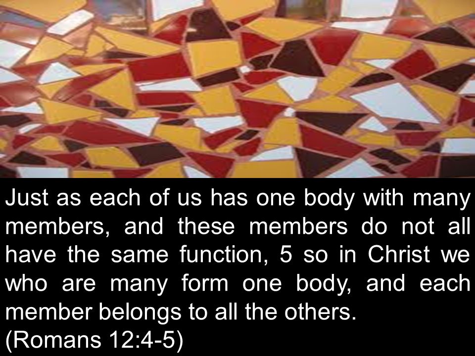 Just as each of us has one body with many members, and these members do not all have the same function, 5 so in Christ we who are many form one body, and each member belongs to all the others.
