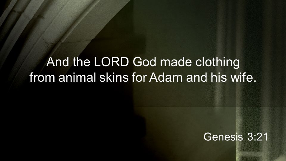 And the LORD God made clothing from animal skins for Adam and his wife. Genesis 3:21
