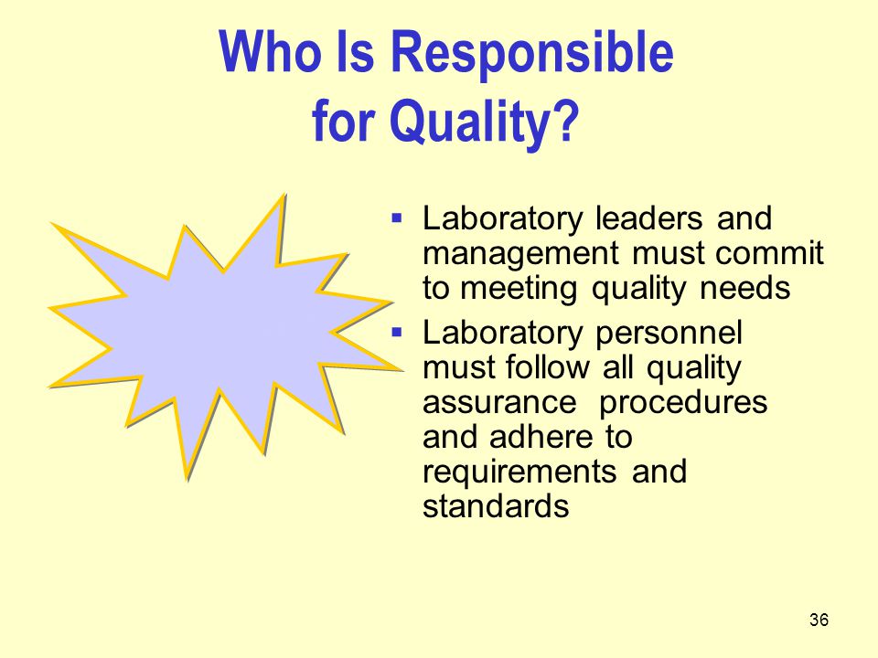36 Who Is Responsible for Quality.