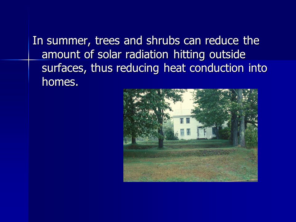 In summer, trees and shrubs can reduce the amount of solar radiation hitting outside surfaces, thus reducing heat conduction into homes.