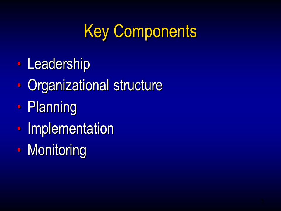 3 Key Components Leadership Organizational structure Planning Implementation Monitoring Leadership Organizational structure Planning Implementation Monitoring