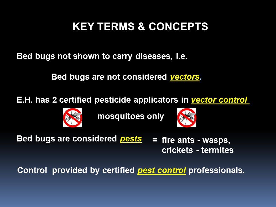 KEY TERMS & CONCEPTS Bed bugs not shown to carry diseases, i.e.