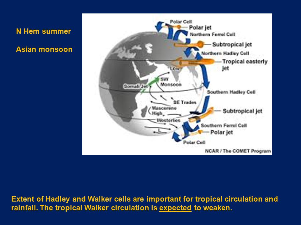 Extent of Hadley and Walker cells are important for tropical circulation and rainfall.