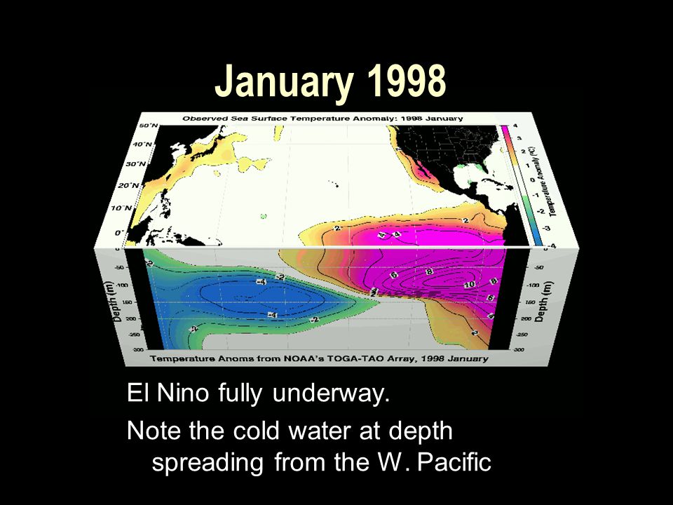 January 1998 El Nino fully underway. Note the cold water at depth spreading from the W. Pacific