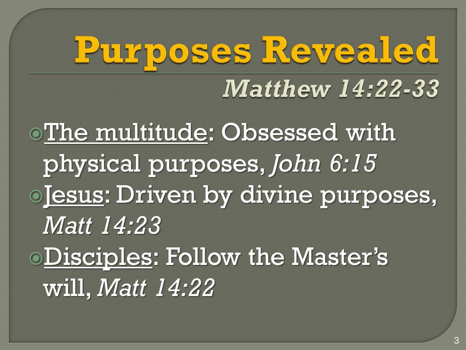 The multitude: Obsessed with physical purposes, John 6:15  Jesus: Driven by divine purposes, Matt 14:23  Disciples: Follow the Master’s will, Matt 14:22 3