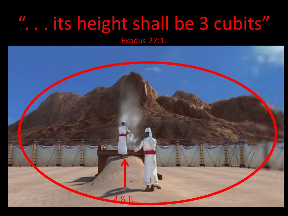 ... its height shall be 3 cubits Exodus 27:1. 4 ½ ft.