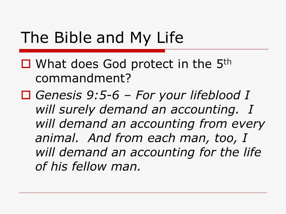 The Bible and My Life  What does God protect in the 5 th commandment.