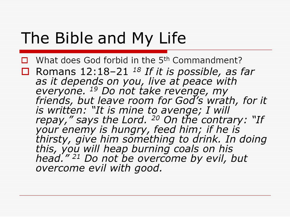The Bible and My Life  What does God forbid in the 5 th Commandment.